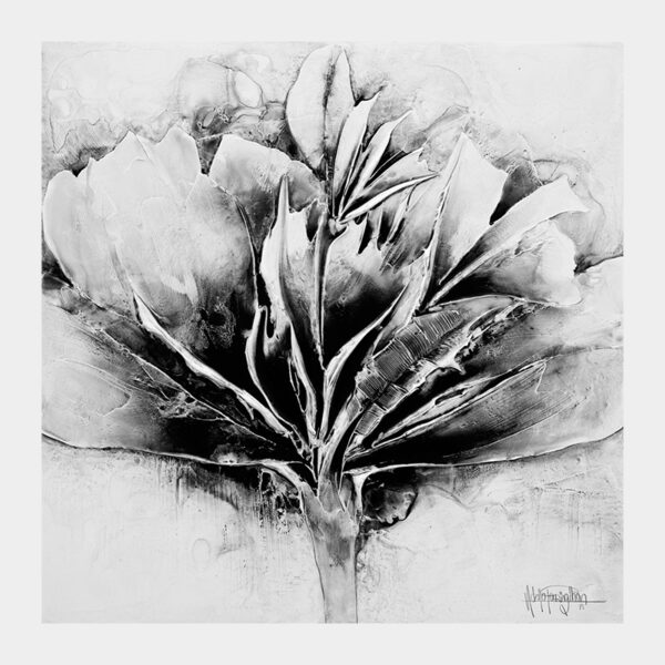 Black and White Passion Flower – Limited Edition Print