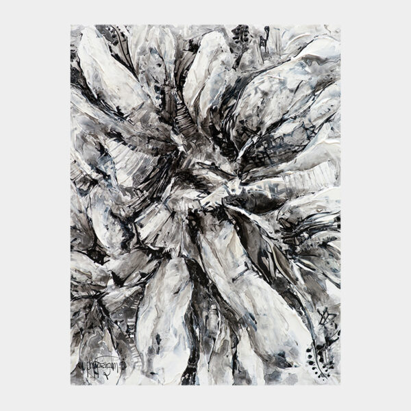 Black and White Garden – Limited Edition Print